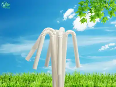 Ống hút giấy bẻ cong