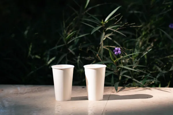 Cốc Giấy Trơn Có Phù Hợp Cho Quán Cafe Và Trà Sữa Không?