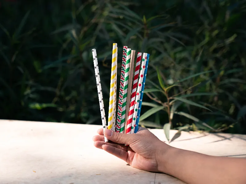 Colored Paper Straws